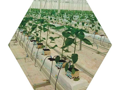 Roll Forming Machine for Planter